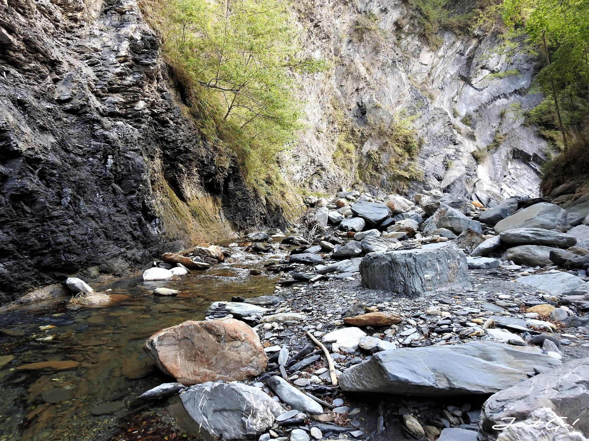 台灣 - 能高安東軍縱走自組隊-5日行程遊記、gpx路線、申請、水源78