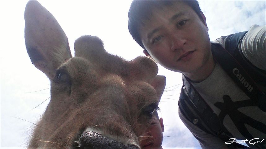 台灣 - 馬祖旅遊必去景點·大坵島·梅花鹿大量出沒-2019交通船班、住宿、美食36