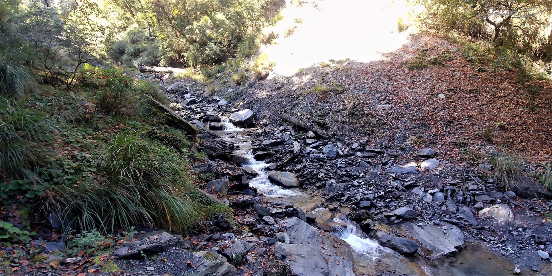 一日百岳·10小時單攻屏風山-新路線地圖gpx、行程規劃、申請、登山口16