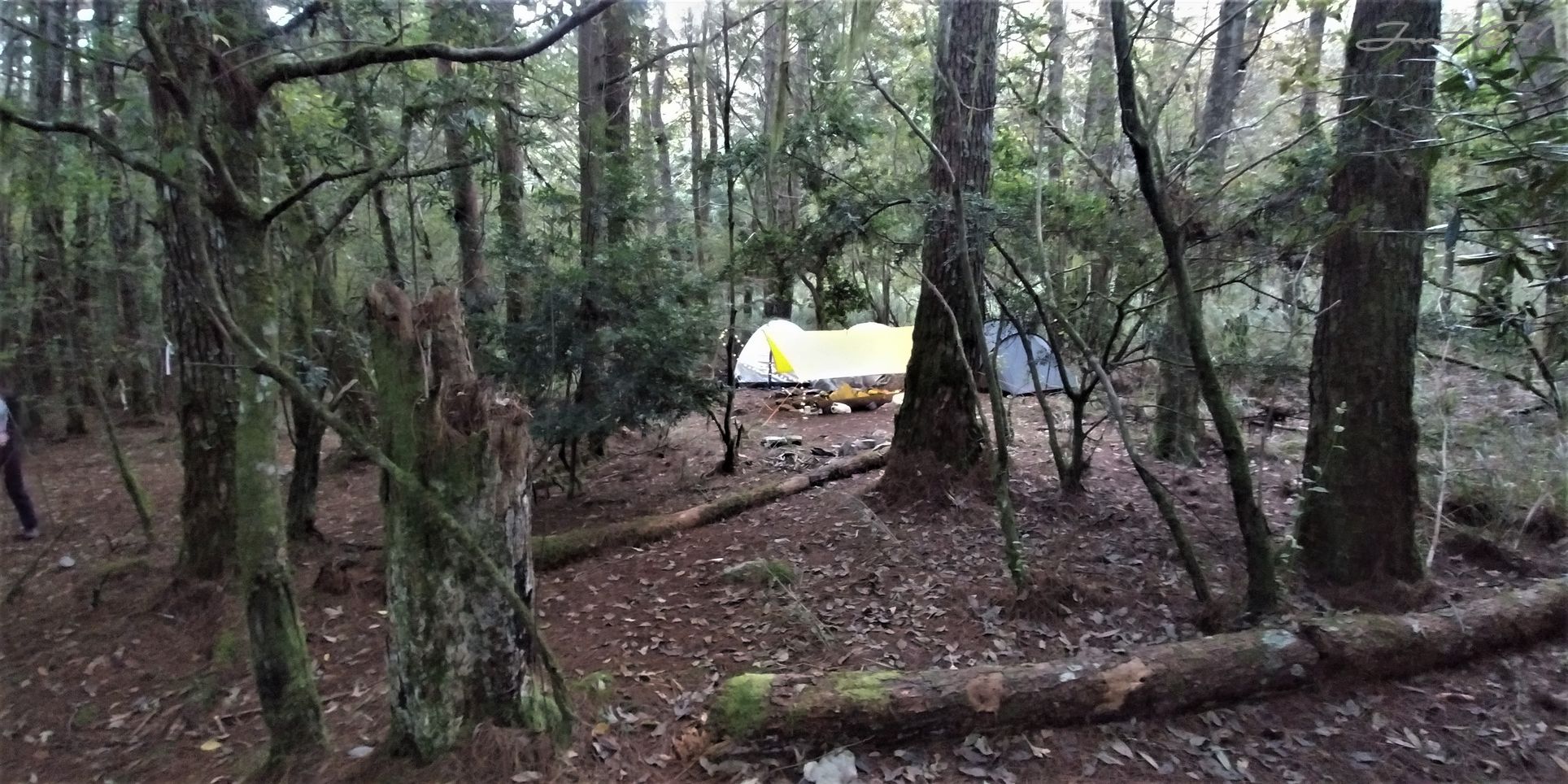 一日百岳·10小時單攻屏風山-新路線地圖gpx、行程規劃、申請、登山口2