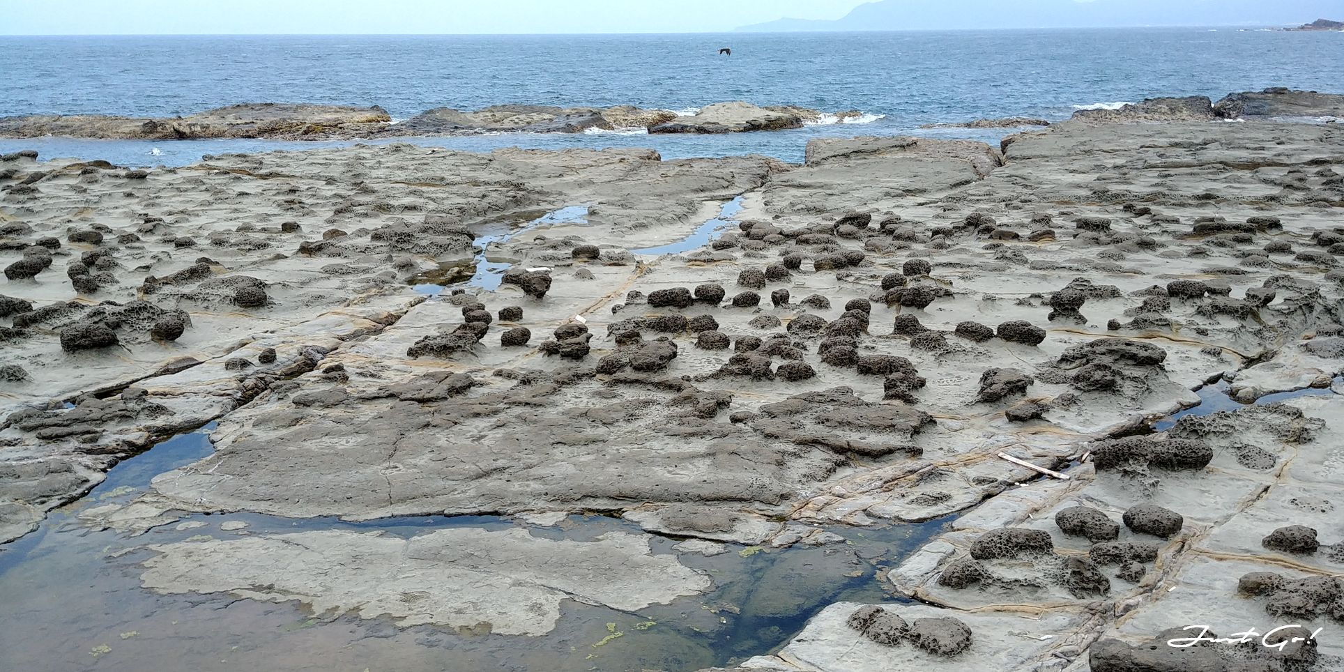 新北瑞芳·東北角必去景點- 鼻頭角步道欄杆外的秘境-交通、路線GPX32