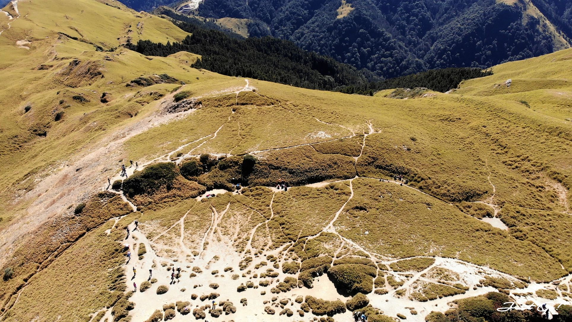 一日百岳·9小時單攻合歡西峰北峰-地圖gpx、行程規劃、申請、登山口40