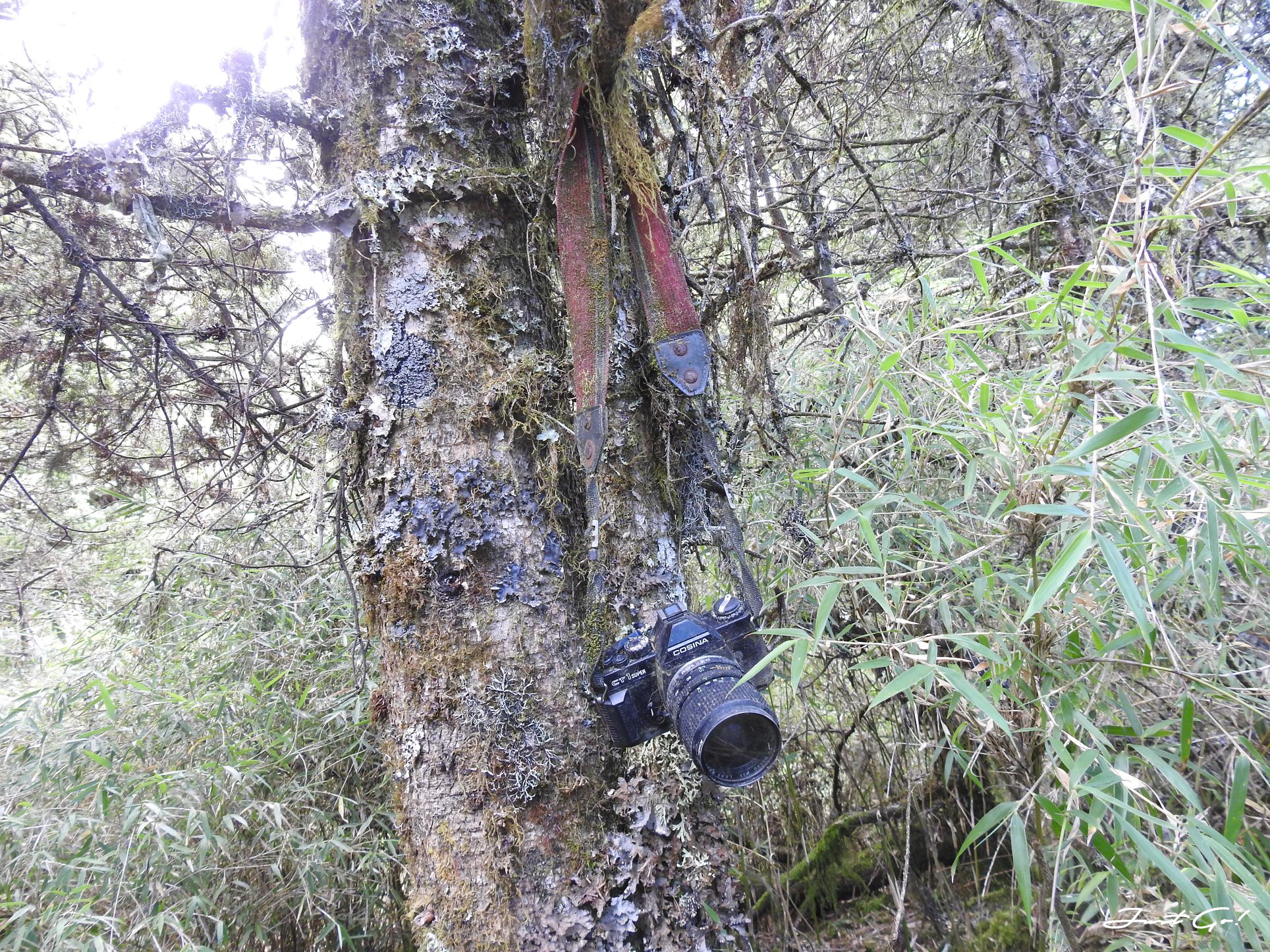 北二段C+級百岳-無明山、甘薯峰3天2夜-gpx路線、行程接駁、申請、水源49