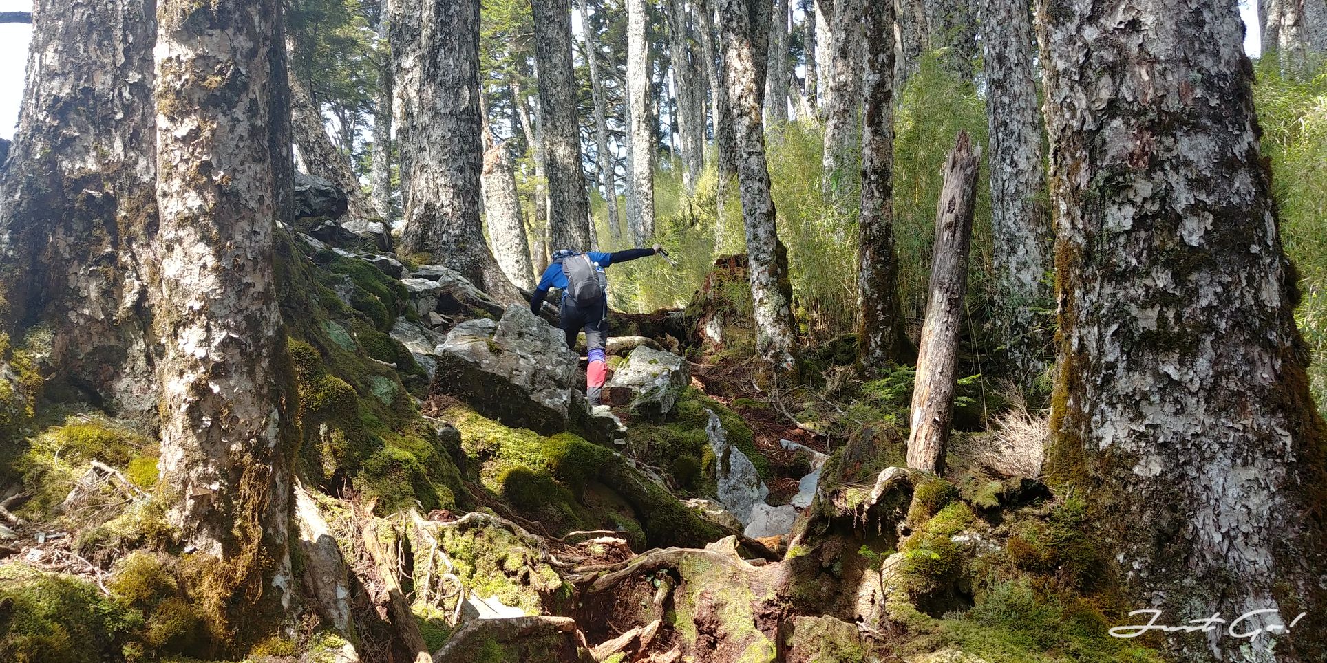 單攻白姑大山-13.5小時行程、GPX、路程、申請、水源、高度圖10