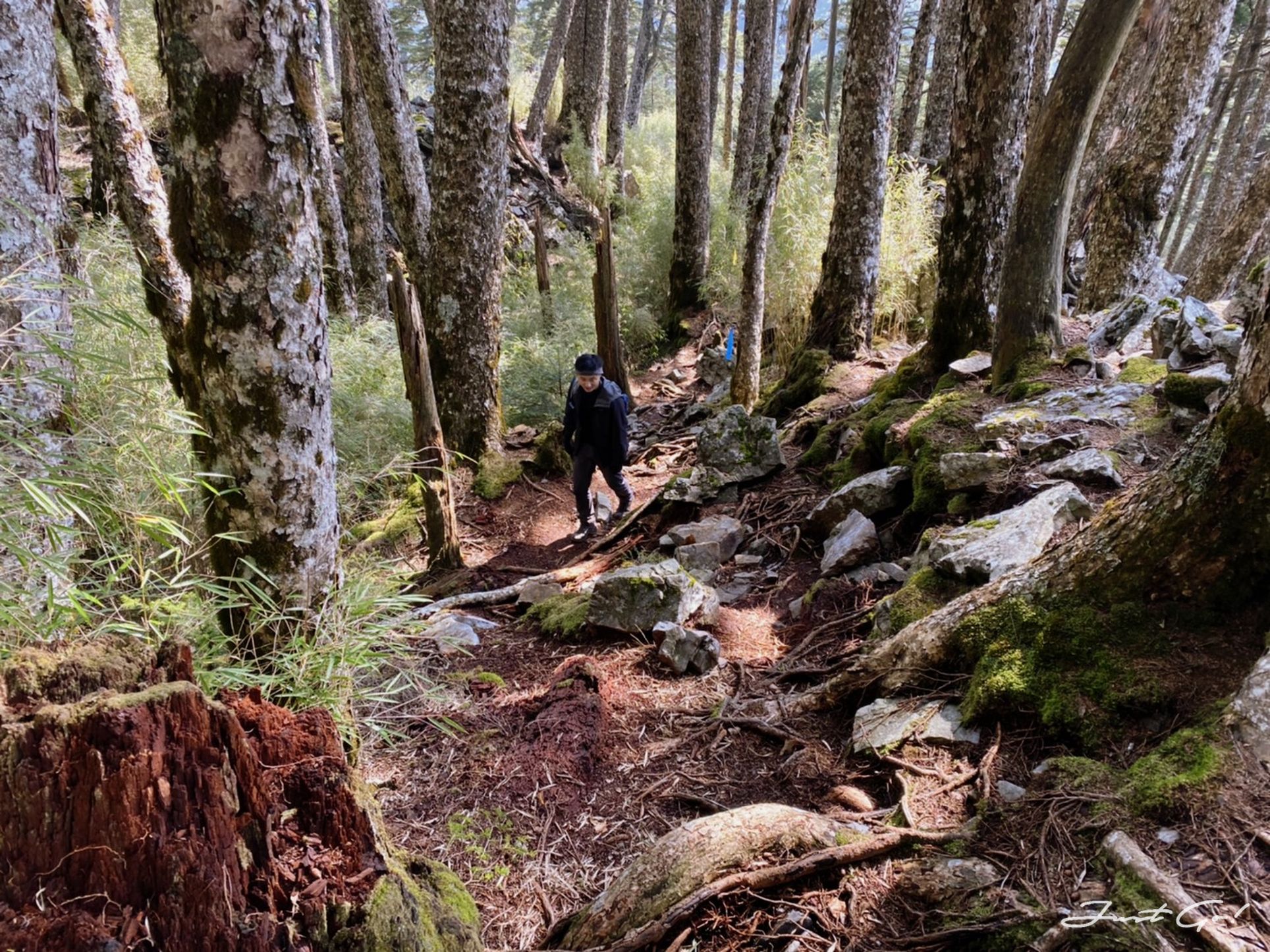 單攻白姑大山-13.5小時行程、GPX、路程、申請、水源、高度圖12