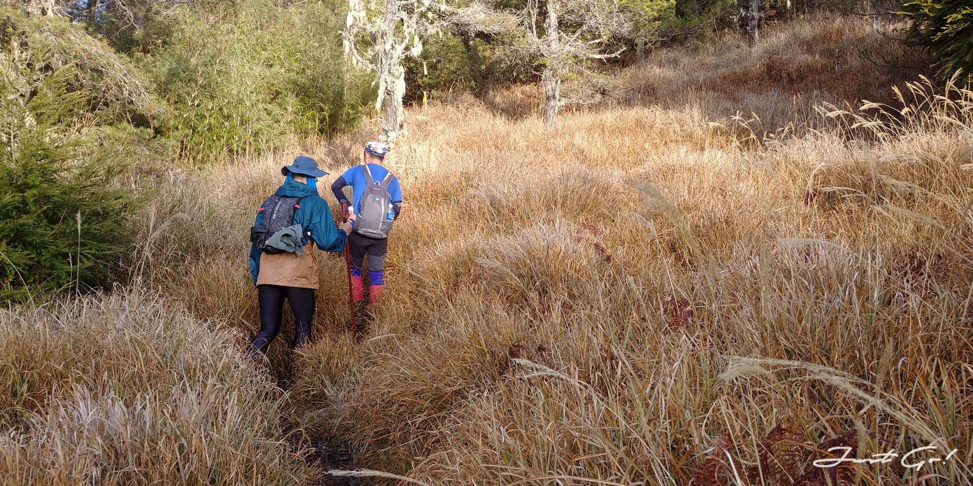 單攻白姑大山-13.5小時行程、GPX、路程、申請、水源、高度圖4