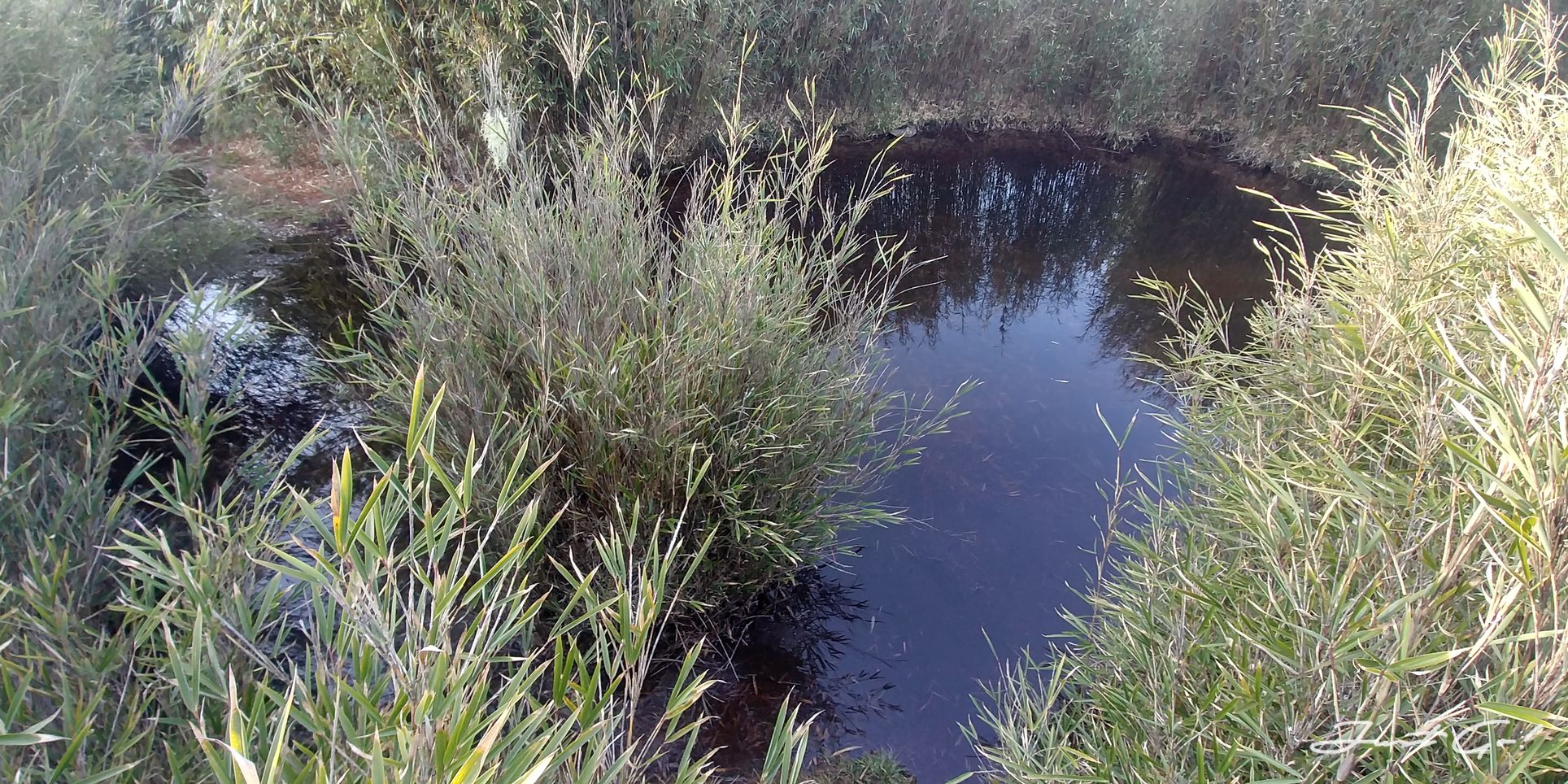 單攻白姑大山-13.5小時行程、GPX、路程、申請、水源、高度圖6