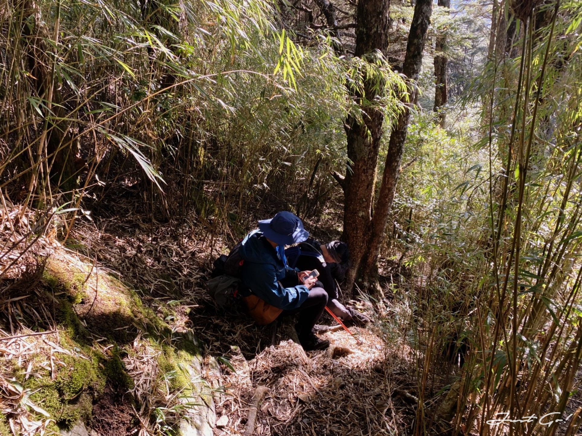 單攻白姑大山-13.5小時行程、GPX、路程、申請、水源、高度圖7